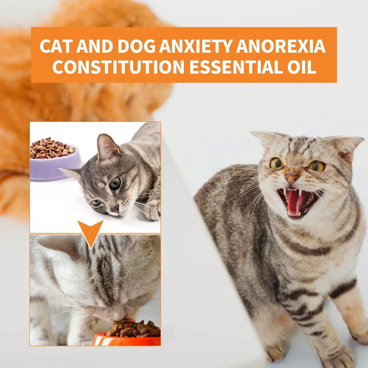 Gotas calmantes orgânicas naturais, mistura de óleo essencial para alívio da ansiedade de animais de estimação para cães e gatos, criam uma experiência sem ansiedade e saúde da pele
