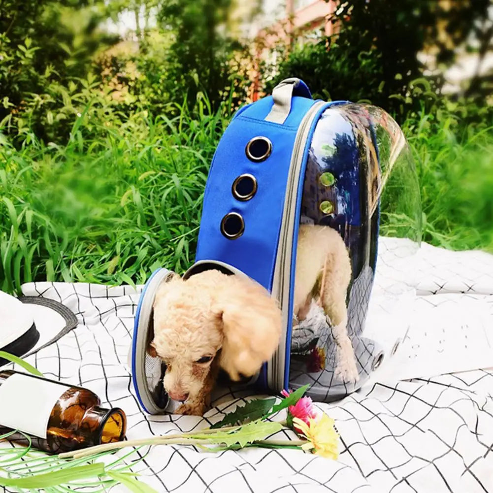 O fabricante fornece diretamente bolsas para gatos, mochilas para animais de estimação, cápsulas espaciais portáteis e transparentes, suprimentos para gatos, mochilas respiráveis