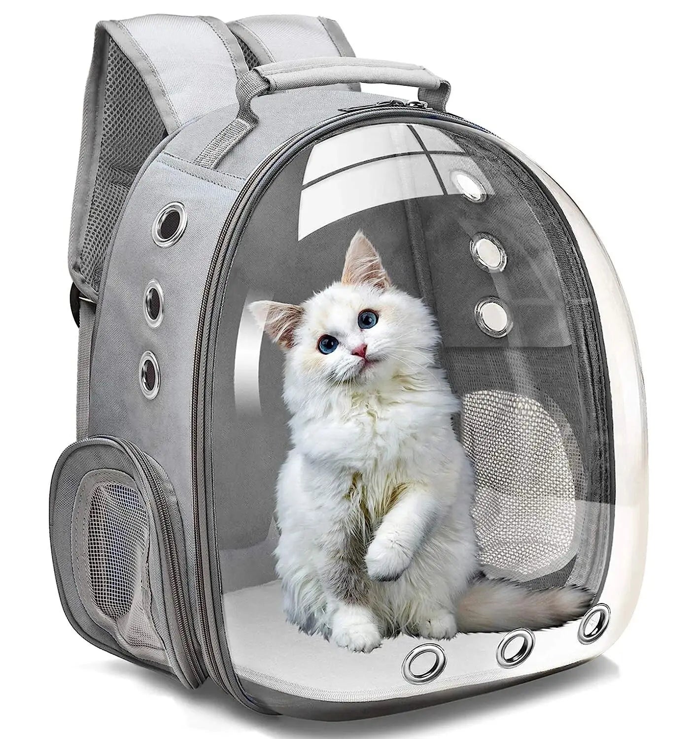 Mochila para transporte de animais de estimação, cápsula transparente, mochila para animais de estimação, filhotes, gatinhos, pássaros, transportadora respirável para viagem