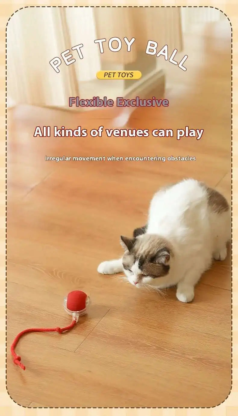 Bola de brinquedo interativa inteligente para gatos, bola rolante automática com cauda falsa, brinquedo elétrico recarregável por USB para animais de estimação, para provocação e treinamento