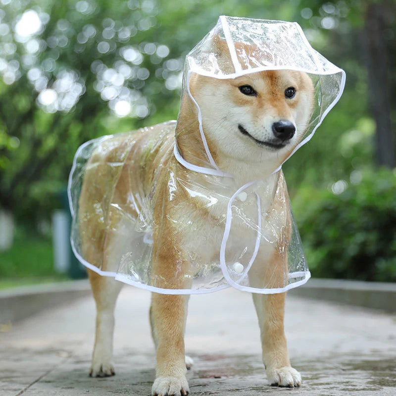 Capa de chuva transparente para cachorro e filhote, jaqueta impermeável com capuz, roupas de PVC macio, capa de chuva para cachorros pequenos