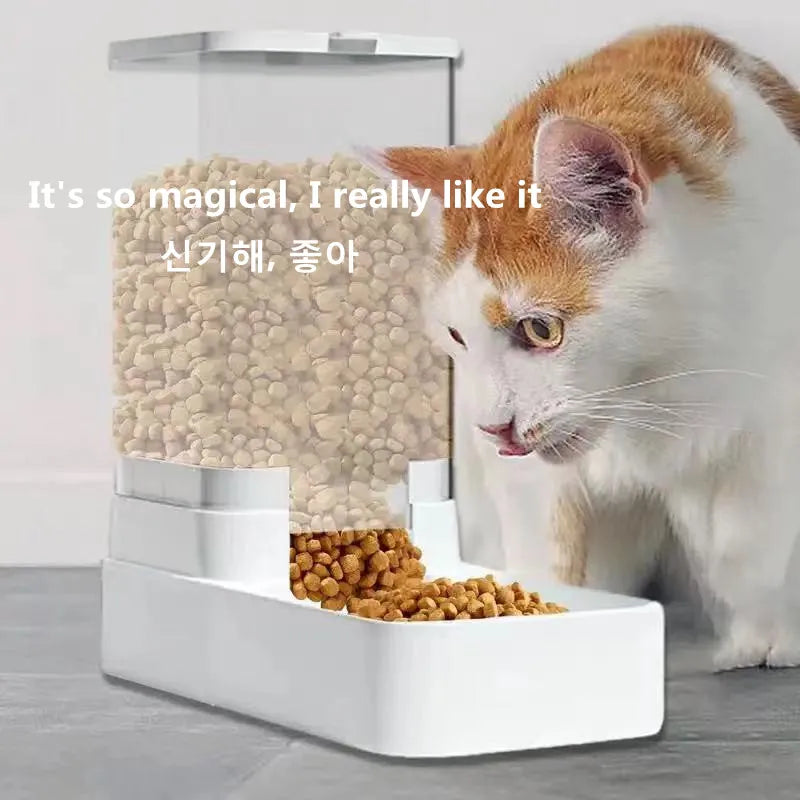 Pet acessories Dog Automatic Feeder Transparent Automatic Gravity Cat Water Bowl High Capacity Food Storage  Container Cat And Dog Accessories