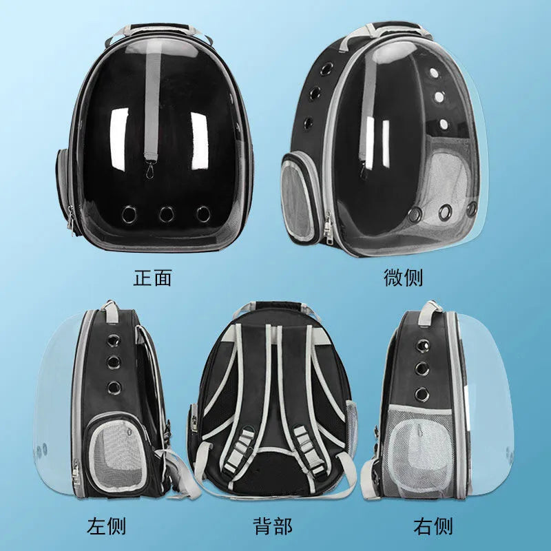 Bolsa de viagem transparente para gatos, mochila portátil para gatos, filhotes, bolsa respirável para levar suprimentos para animais de estimação