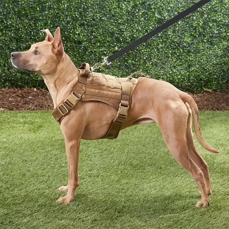 Colete de camuflagem tática para cães de médio e grande porte, fácil controle e confortável para caminhadas, treinamento e atividades ao ar livre
