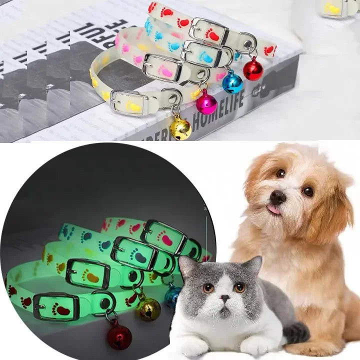 Coleira de silicone luminosa fluorescente para animais de estimação, coleira noturna antiperda para cães e gatos, filhotes e gatinhos, suprimentos para animais de estimação ao ar livre