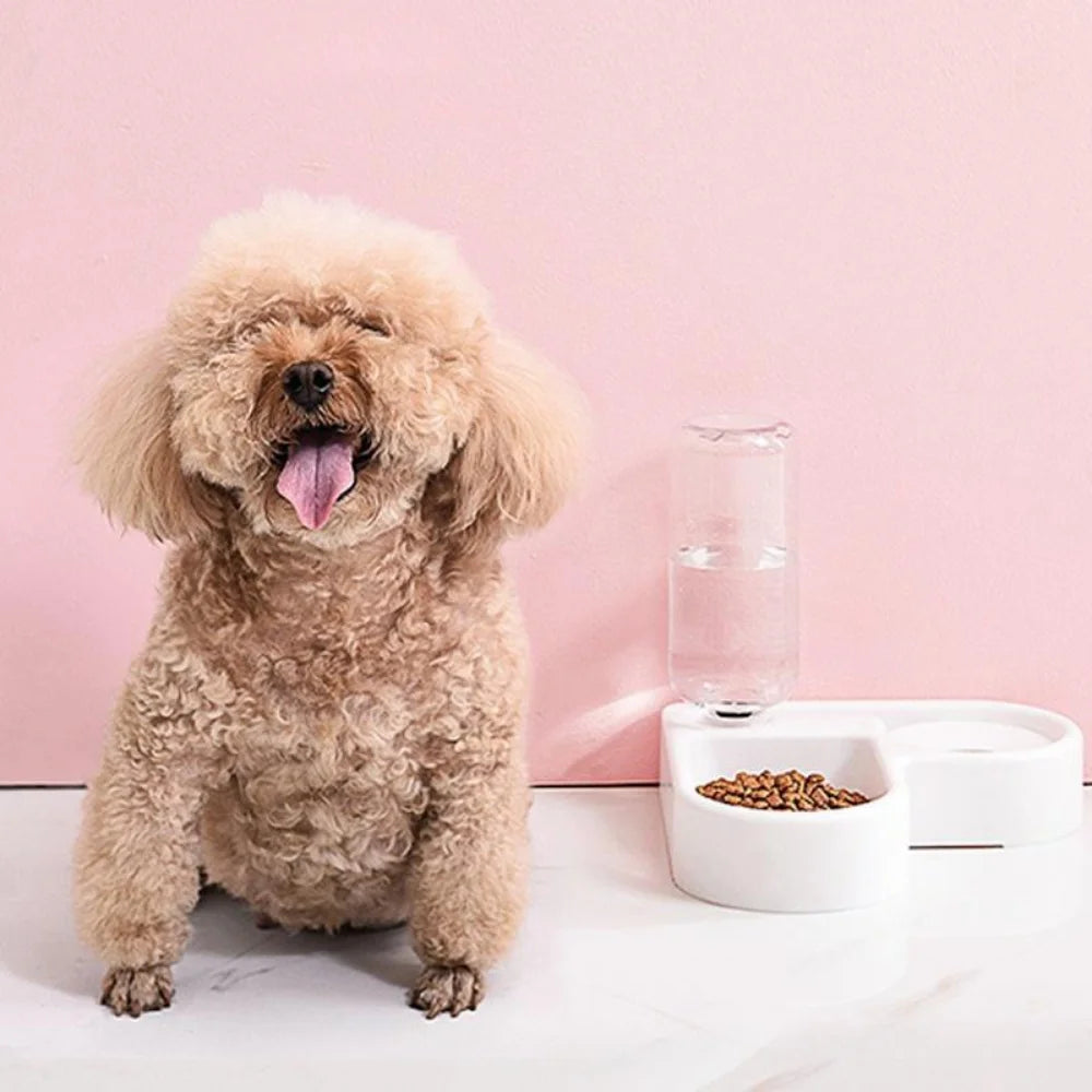 Alimentador automático para animais de estimação de 500 ml, tigela pequena, portátil, para comida de cães e gatos, sala de estar, quarto, produtos para animais de estimação