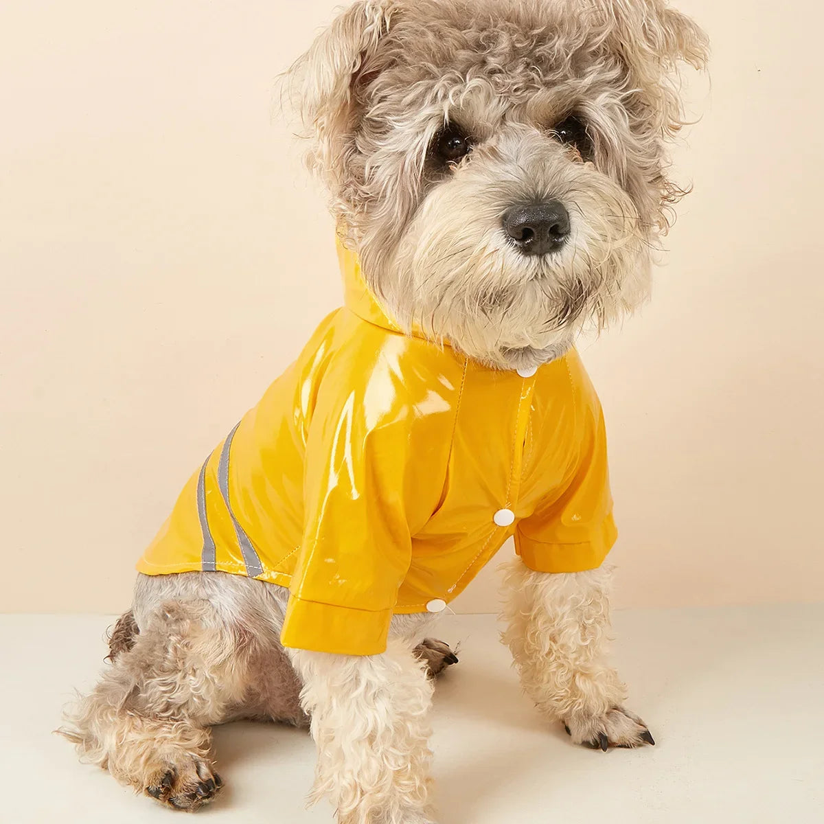 Capa de chuva para cachorro pequeno, impermeável e refletiva, à prova de vento, para cachorros e gatos, capa de chuva para chihuahua, bulldog, animais de estimação, capa, poncho, roupas