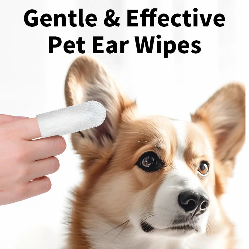 Produtos para limpeza de orelhas de animais de estimação, lenços umedecidos para limpeza de orelhas de animais de estimação, protetores de ouvido para os dedos, remoção de ácaros de orelhas para cães e gatos