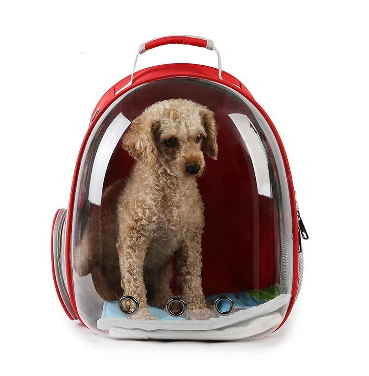 Mochila para transporte de animais de estimação Capsule Bubble, mochila transparente para transporte de animais de estimação, filhotes, gatinhos, pássaros, respirável para viagem