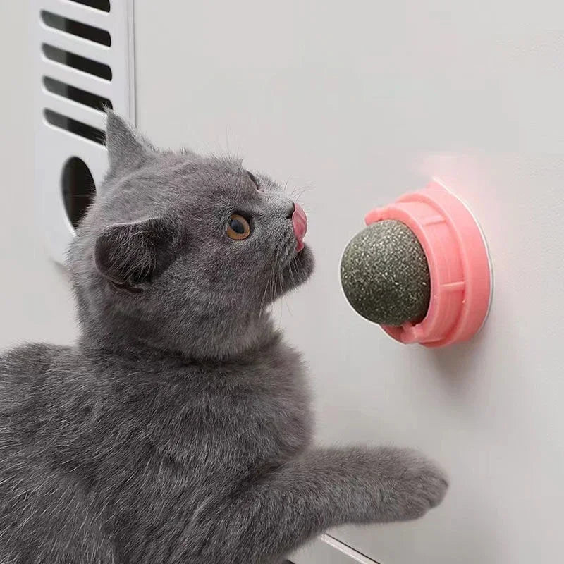 Brinquedo adesivo de parede para gatos Catnip, bola arranhadora, petiscos saudáveis ​​e naturais, remove bolas para promover a digestão, petisco de grama para gatos