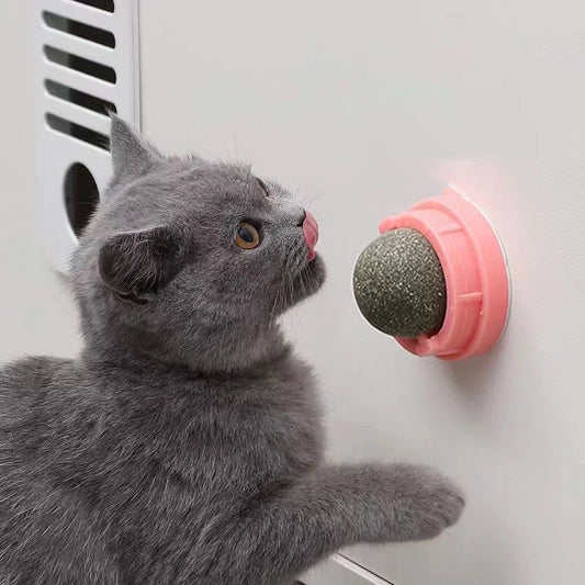 Brinquedo adesivo de parede para gatos Catnip, bola arranhadora, petiscos saudáveis ​​e naturais, remove bolas para promover a digestão, petisco de grama para gatos