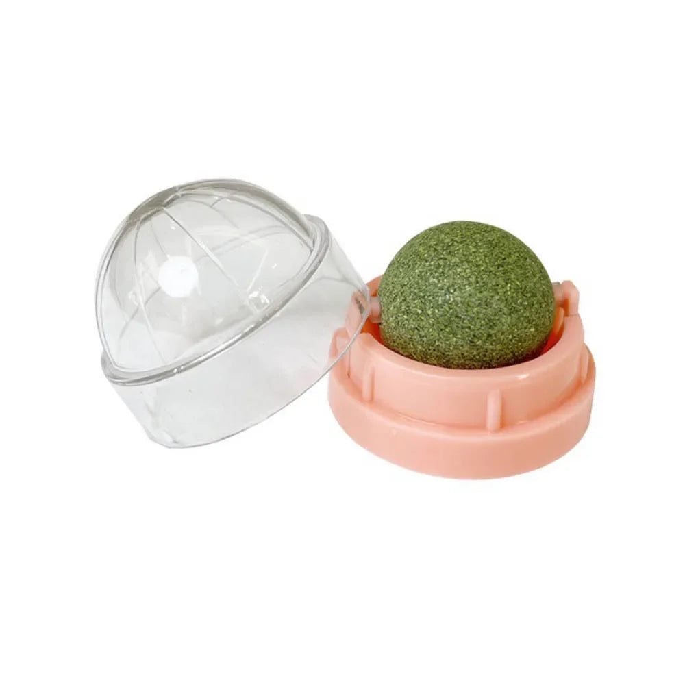 Brinquedo adesivo de parede para gatos Catnip, bola arranhadora, petiscos saudáveis ​​e naturais, remove bolas para promover a digestão, petisco de grama para gatos