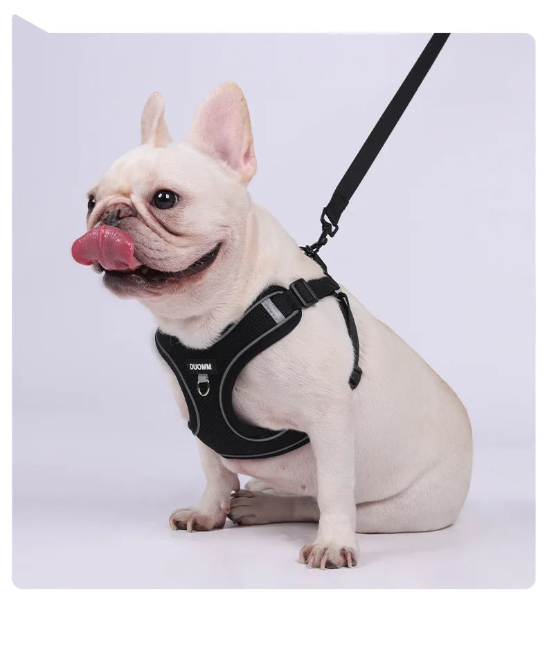 Conjunto de coleira para cães, pequeno, médio, cão, gato, peitoral ajustável, refletivo, respirável, colete de treinamento para caminhada, acessórios para animais de estimação