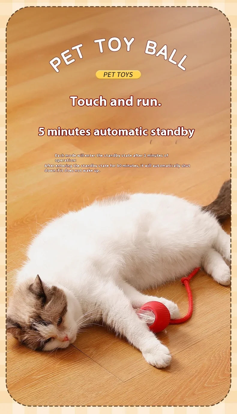 Brinquedos inteligentes interativos para gatos, bola elétrica com rolamento automático para gatos, gatinhos, animais de estimação, treinamento automático, brinquedo recarregável por USB