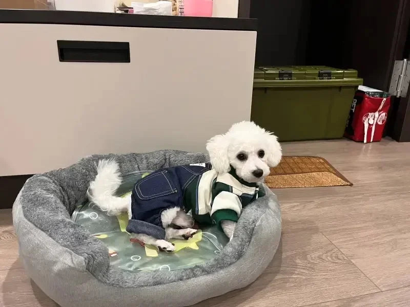 Cama macia e quente para cães, cesta para animais de estimação, casa para gatos, sofá para cães de médio e grande porte, almofada para cama de cachorro, casa para animais de estimação, acessórios e suprimentos 2025novo