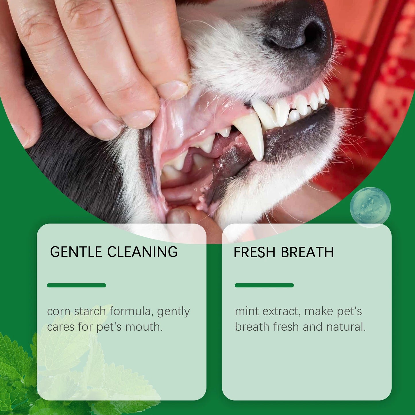 O pó de limpeza para dentes de animais de estimação YEGBONG remove o mau hálito, combate naturalmente o odor de tártaro e mantém o hálito do seu animal de estimação fresco
