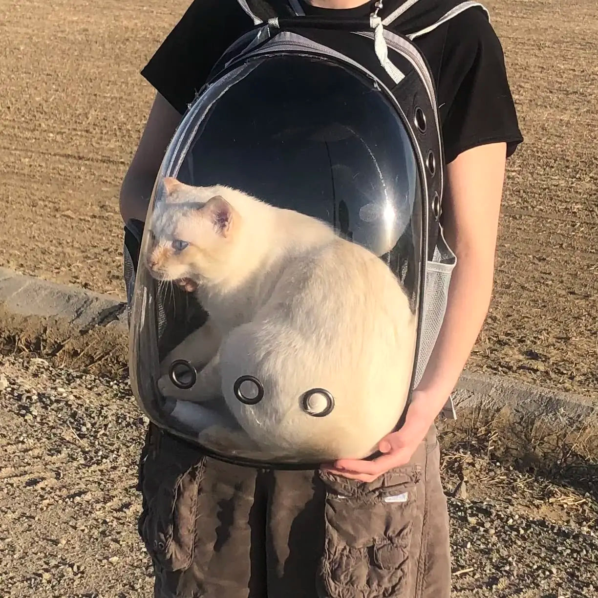 Mochila para gatos, bolsa respirável, cápsula transparente, portátil, para viagem ao ar livre, bolsa de ombro para animais de estimação, mochila para animais de estimação