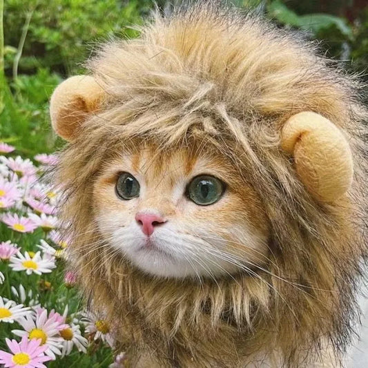 Novos animais de estimação engraçados e fofos, roupas, boné, peruca de gato fofa, juba de leão, fantasia, cosplay, gatinho, cachorro, chapéu com orelhas, artigos para festa chiques