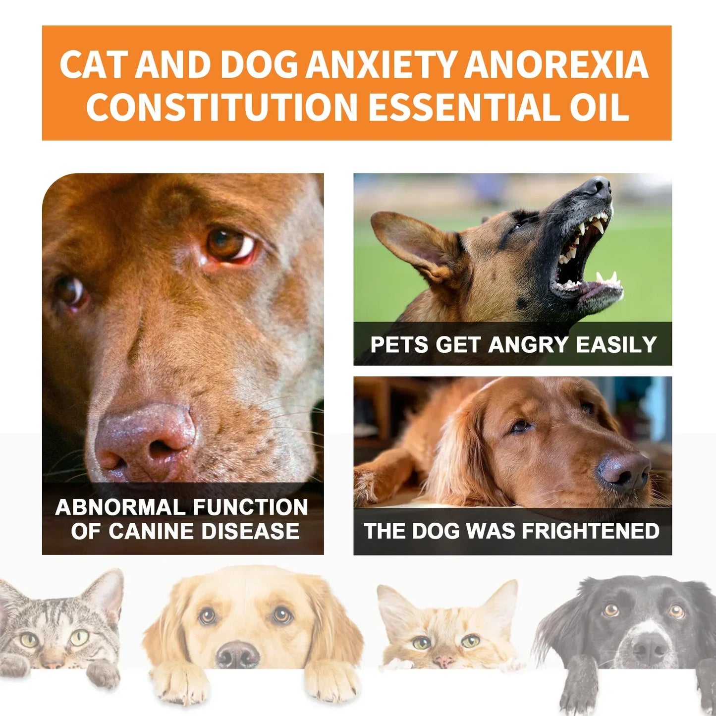 Gotas calmantes orgânicas naturais, mistura de óleo essencial para alívio da ansiedade de animais de estimação para cães e gatos, criam uma experiência sem ansiedade e saúde da pele