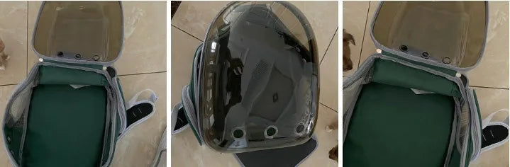 Bolsa de viagem transparente para gatos, mochila portátil para gatos, filhotes, bolsa respirável para levar suprimentos para animais de estimação