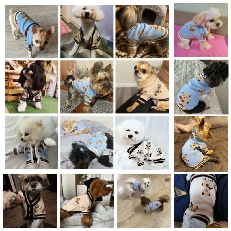 Roupas de luxo para cães Chihuahua Pet Cardigan listrado Suéter Bichon Frise Filhote de cachorro Gatinho Cachorro Casaco quente Acessórios para cães Gatos Roupa para animais de estimação