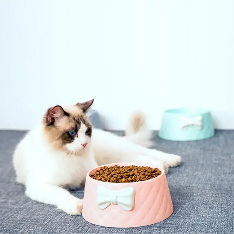 Tigelas de comida para cães de estimação, tigela de alimentação para filhotes com laço adorável, tigela de alimentação para gatos com laço para água, tigelas de alimentação para animais de estimação com laço doce princesa