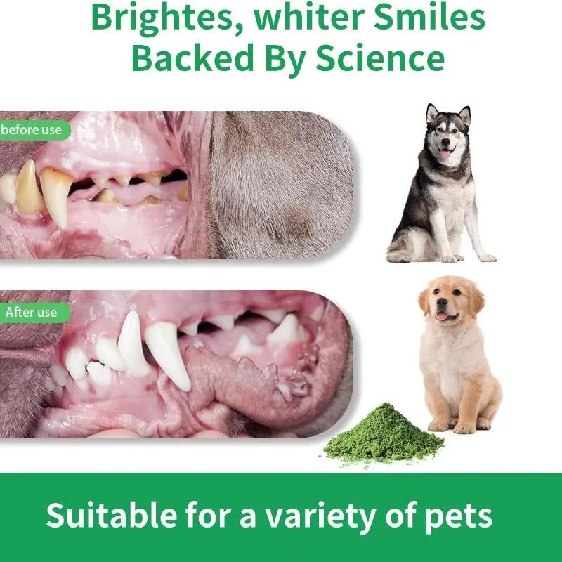 Pó de limpeza dental 80g para cães e gatos, limpeza bucal, limpeza dos dentes, mau hálito, mau hálito de animais de estimação, pó de limpeza dental