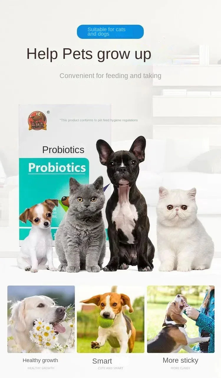Probióticos para animais de estimação regulam o estômago e aumentam o apetite em gatos e cães, diarreia geral, constipação e vômito.