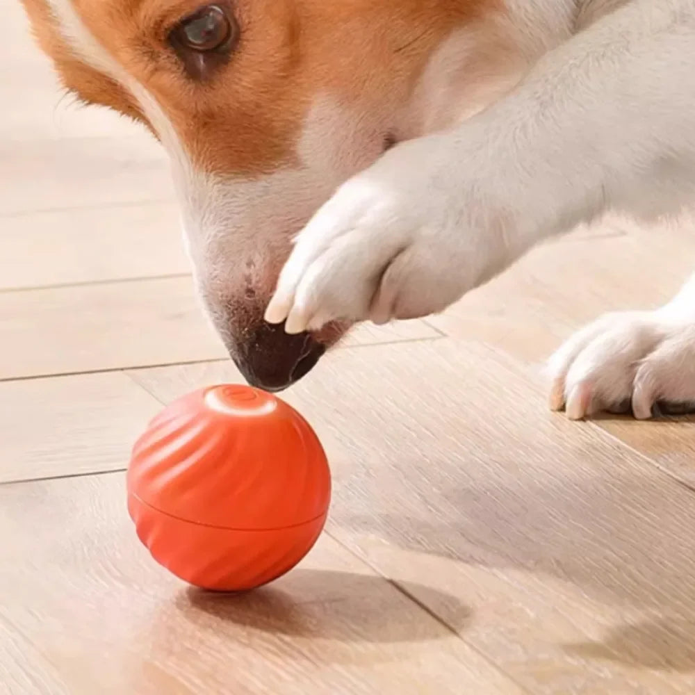 Bola de brinquedo para cachorro com movimento automático, bola de brinquedo inteligente USB com salto giratório e brinquedo interativo para mastigar cachorro, bola de brinquedo para filhotes