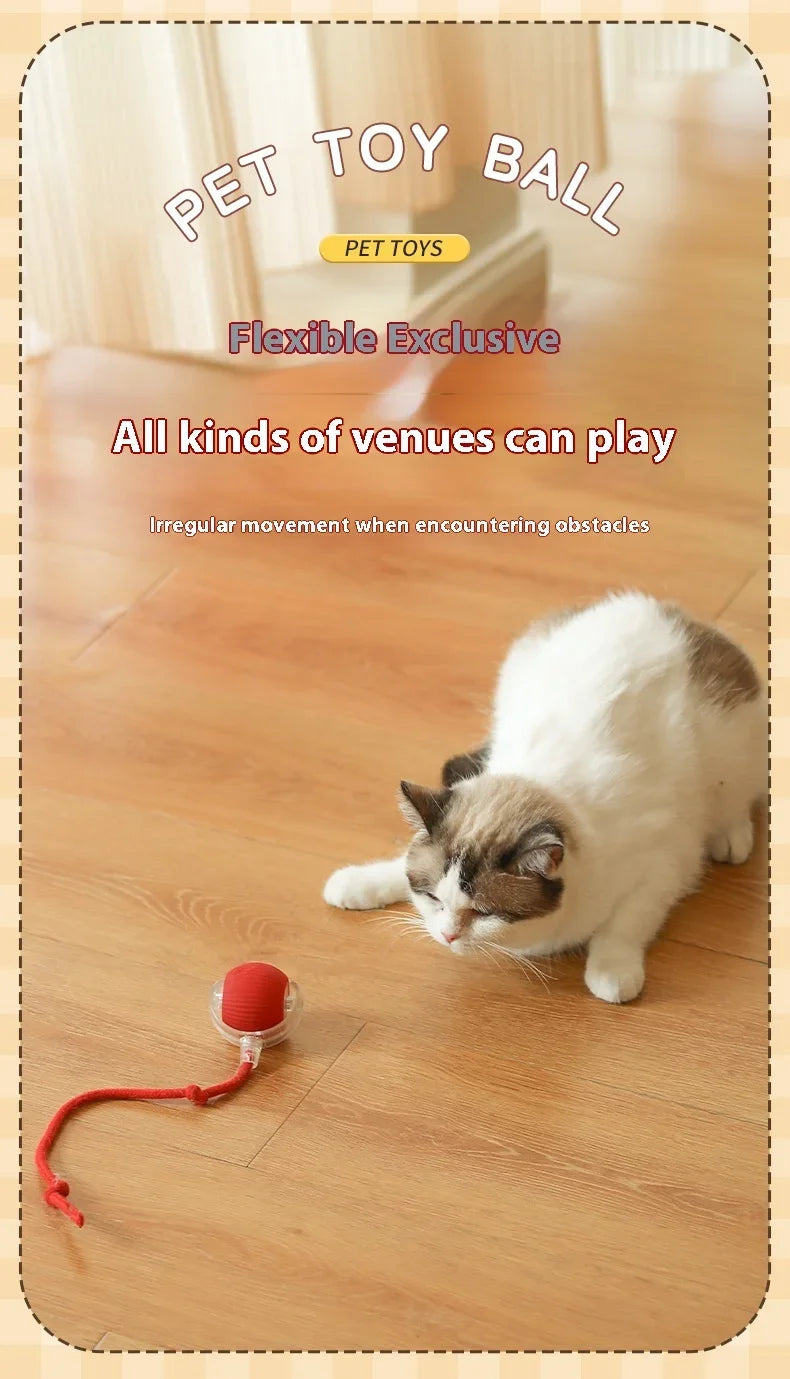 Brinquedos inteligentes interativos para gatos, bola elétrica com rolamento automático para gatos, gatinhos, animais de estimação, treinamento automático, brinquedo recarregável por USB