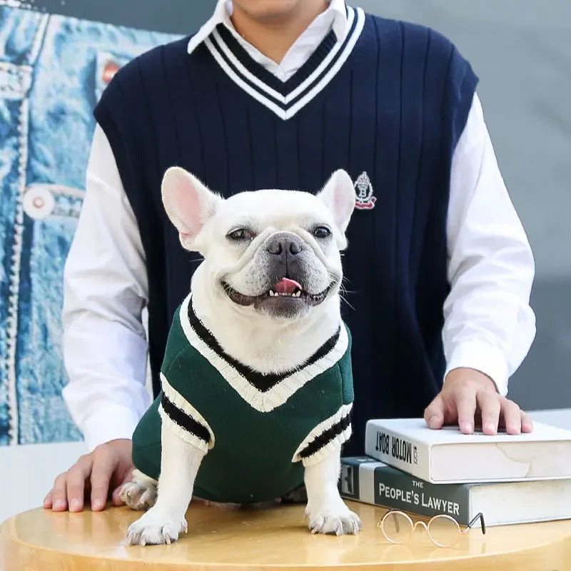 Warm Dog Sweater Winter Clothing Turtleneck Knitted Pet Cat Puppy Clothes Costume for Small Dogs Chihuahua Outfit Sweaters Vest