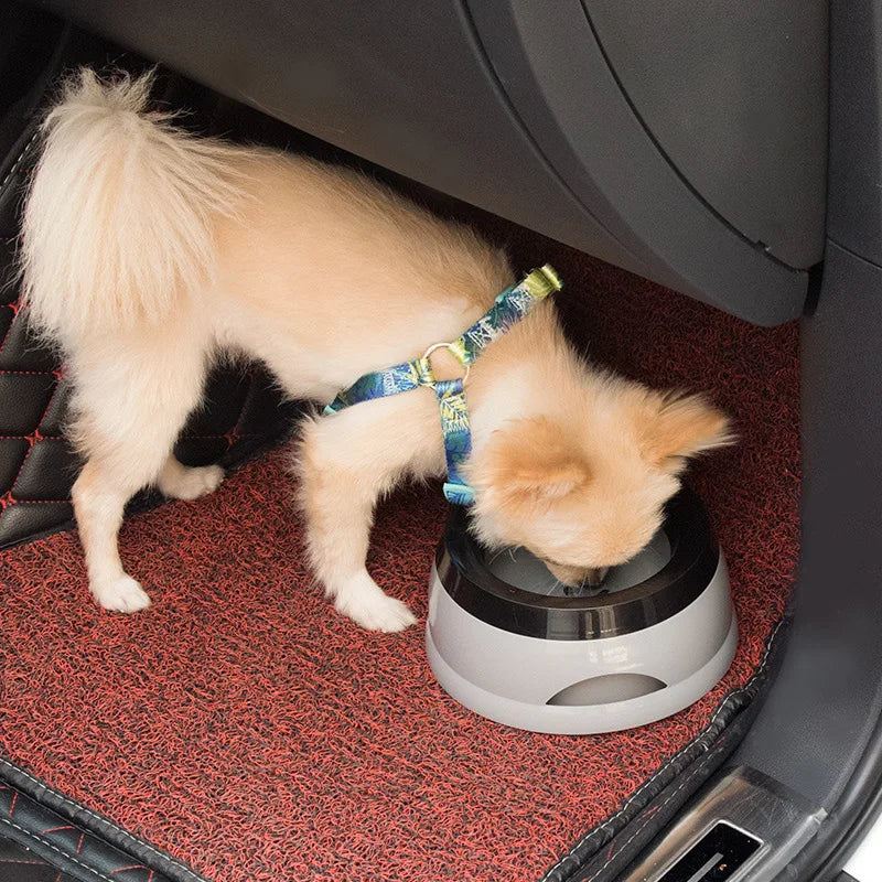Tigelas flutuantes para cães e gatos, tigelas portáteis de plástico para gatos, tigelas flutuantes que não molham a boca e não derramam água potável, acessórios para cães