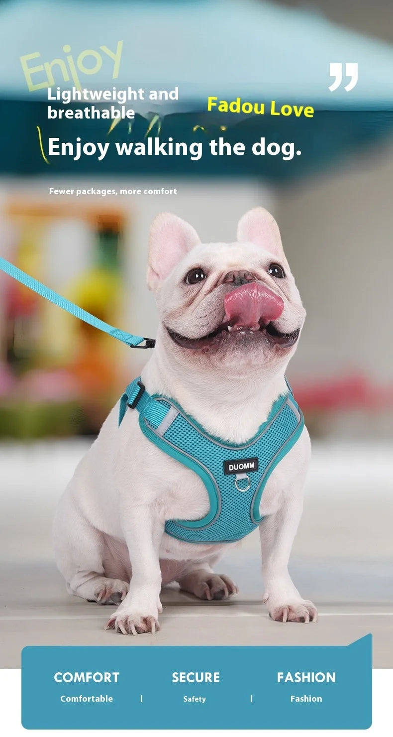 Conjunto de coleira para cães, pequeno, médio, cão, gato, peitoral ajustável, refletivo, respirável, colete de treinamento para caminhada, acessórios para animais de estimação