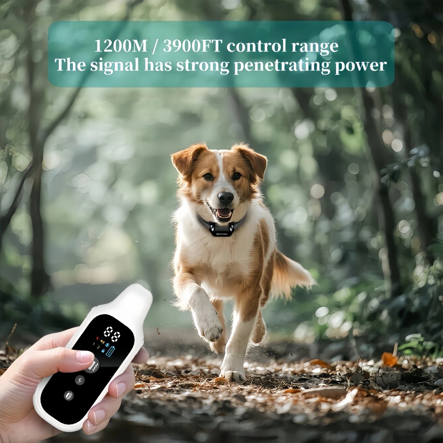YHLC Electric Dog Training Collar Detachable Bark Rechargeable Anti Barking Shock Vibration Collar for All Dogs Pet