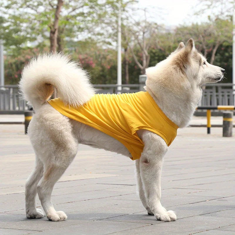 Colete de algodão para cachorro, 1 peça, roupas para animais de estimação para Golden Retriever, Samoieda, Labrador - Ajuste confortável para raças pequenas a grandes, algodão de pelúcia